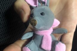 猪野学　坂バカ　第12回