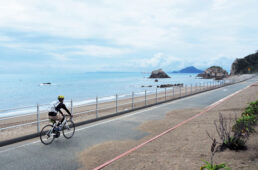 ジャパンエコトラック「東三河デジタルスタンプラリー」