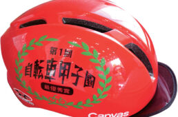 自転車甲子園最優秀賞ヘルメット