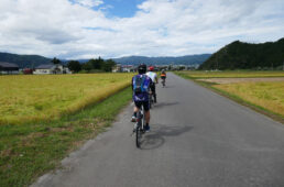 雪国魚沼Golden Cycle Routeをサイクリング