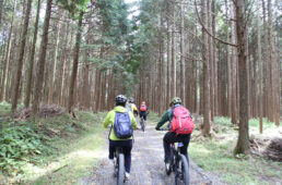 自転車協会　マウンテンバイク