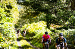 ニセコグラベル2022