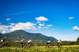 ニセコグラベル2022