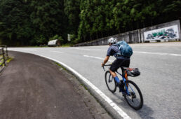走るシシャチョー
