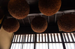 造り酒屋の杉玉