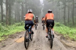 ラファエクスプロアプレステージやくらい