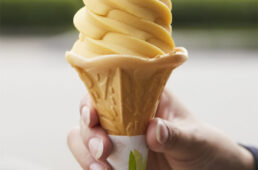 ヨッテカーレ城端のアップルマンゴーソフト