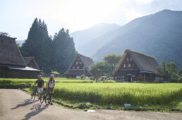 菅沼合掌造り集落