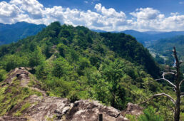 ジャパンエコトラック「東三河デジタルスタンプラリー」