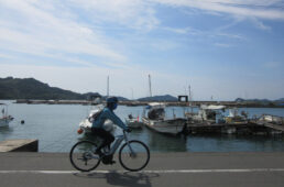 漁港の目の前の道