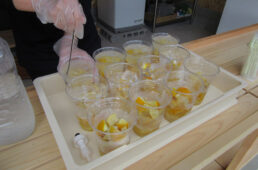 nouson808のレモンスカッシュ