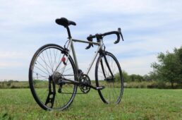 カラミータ・デュエプラス