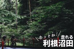 とねぬま自転車ひとっ旅