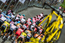 ジャパンカップ2022 国内チーム