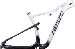 ネスト・パルサー プロ