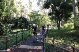 夢の島公園の小道をポタリング