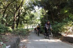 夢の島公園の小道をポタリング