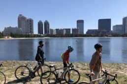 お台場海浜公園の対岸から見える景色