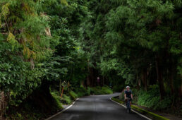 会津西街道と日光例幣使街道の追分