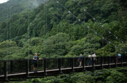 吊り橋を渡るシシャチョー