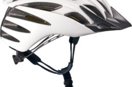 シンクロSLミップス