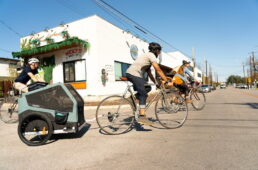 バーレー　ペット用トレーラー