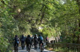 サイクルアドベンチャー南アルプス途中走行シーン