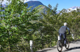 雄大な山々に向かい走る