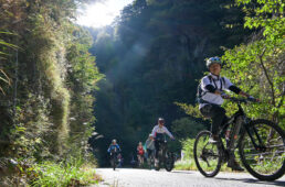 このイベントではEバイクにも力を入れた