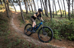 フルクラム　MTBホイール