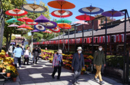 笠間稲荷神社の門前