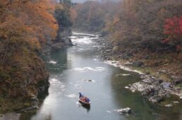 荒川ライン下りの船