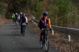 福塩線サイクルトレイン