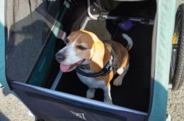 バーレー試乗会