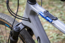 エキップトのサーディン