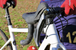 ギザロのレバー