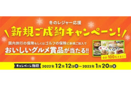 au損保「冬のレジャー応援キャンペーン」