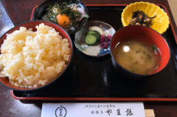 メリダ・伊豆半島の魅力を堪能できる12のサイクリングツアー