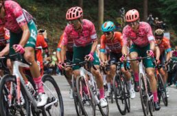 中根英登（EFエデュケーション・イージーポスト）