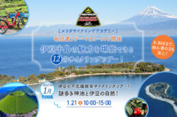 メリダ・伊豆半島の魅力を堪能できる12のサイクリングツアー