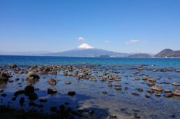メリダ・伊豆半島の魅力を堪能できる12のサイクリングツアー