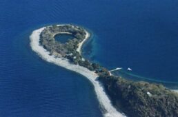 メリダ・伊豆半島の魅力を堪能できる12のサイクリングツアー