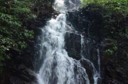 メリダ・伊豆半島の魅力を堪能できる12のサイクリングツアー