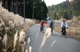 鯖街道の針畑越え