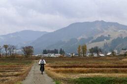 南魚沼への畦道