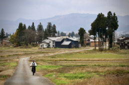 魚沼の里への坂道