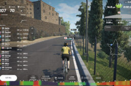 Wahoo RGTのプレイ画面