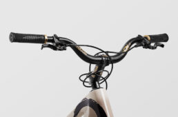 キャニオン・スティッチCFRトライアル