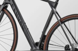 キャニオン・エンデュレース CF 105 Di2