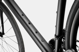 キャノンデール・シナプス３